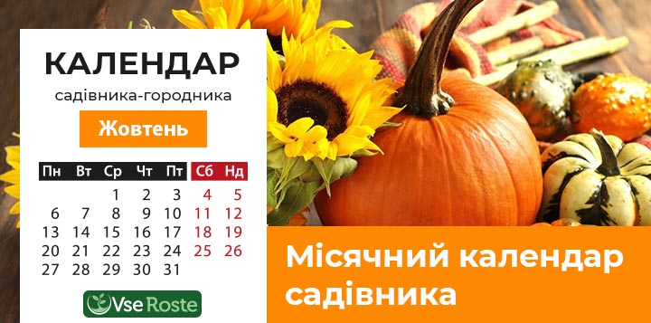 Місячний посівний календар садівника-городника на жовтень 2025 року