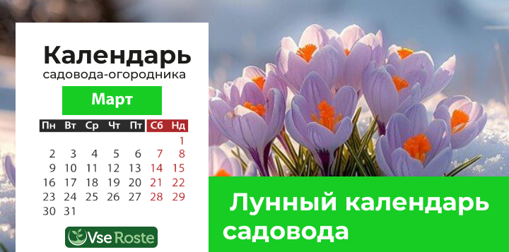Лунный посевной календарь садовода-огородника на март 2026 года