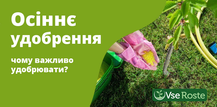 Осіннє удобрення: чому важливо удобрювати?