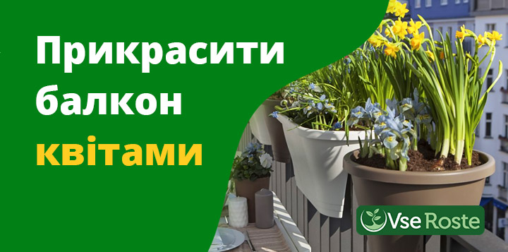 Прикрасити балкон квітами