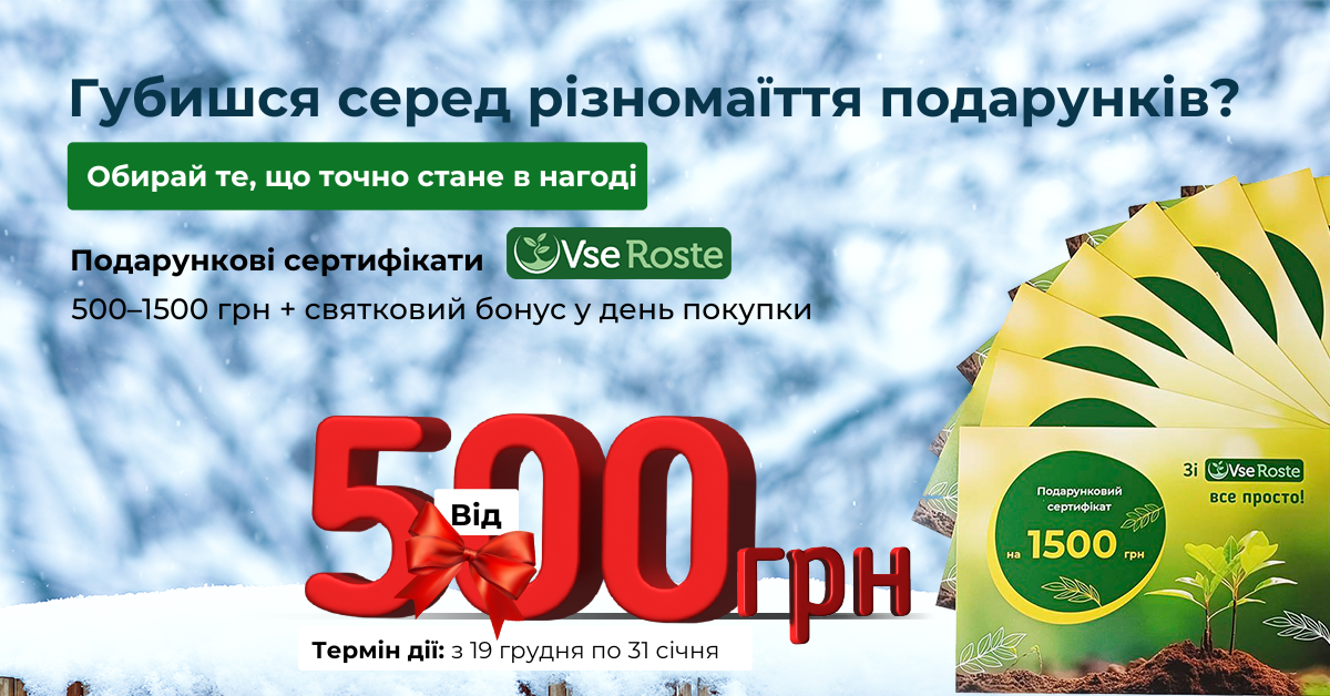 Вигідна пропозиція