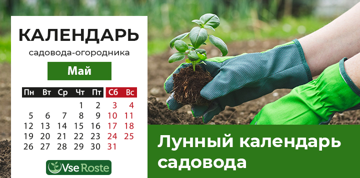 Лунный посевной календарь на май 2025 года