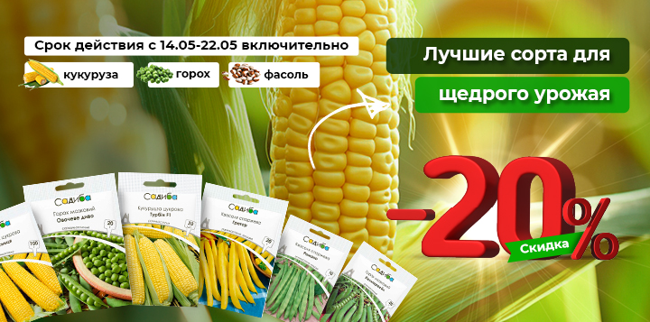 -20% на семена кукурузы, фасоли и гороха