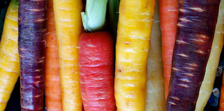 Разноцветная морковь