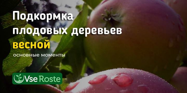 Чем подкармливать плодовые деревья весной
