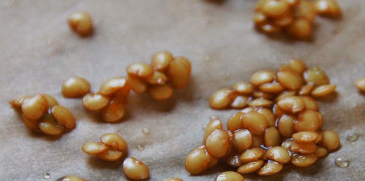 Насіння баклажанів