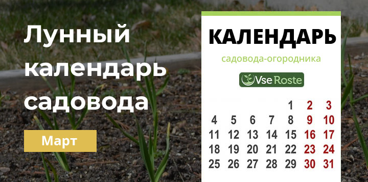 Лунный календарь садовода-огородника на март 2023 года
