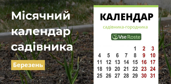 Місячний календар садівника-городника на березень 2023 року