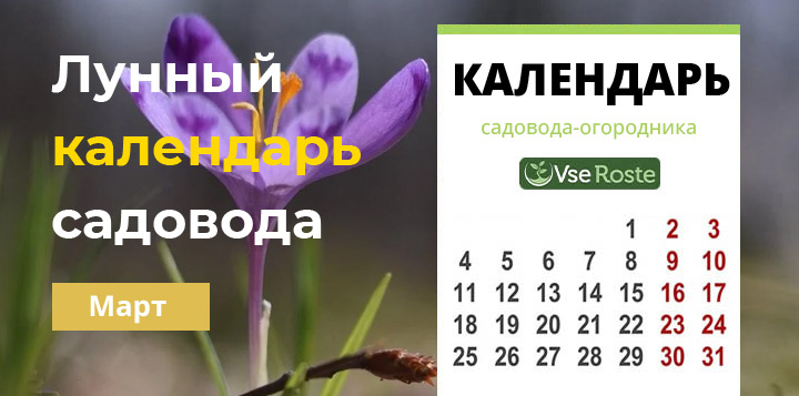 Лунный посевной календарь садовода-огородника на март 2024 года
