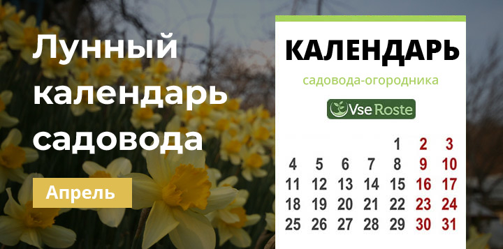 Лунный календарь садовода-огородника на апрель 2023 года