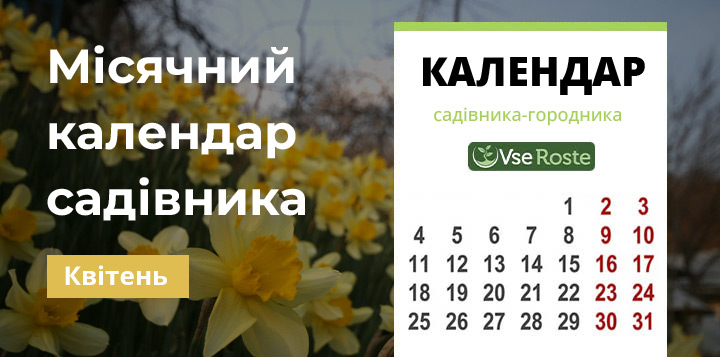 Місячний календар садівника-городника на квітень 2023 року