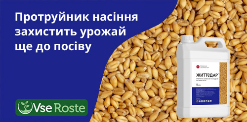Протруйник насіння захистить урожай ще до посіву