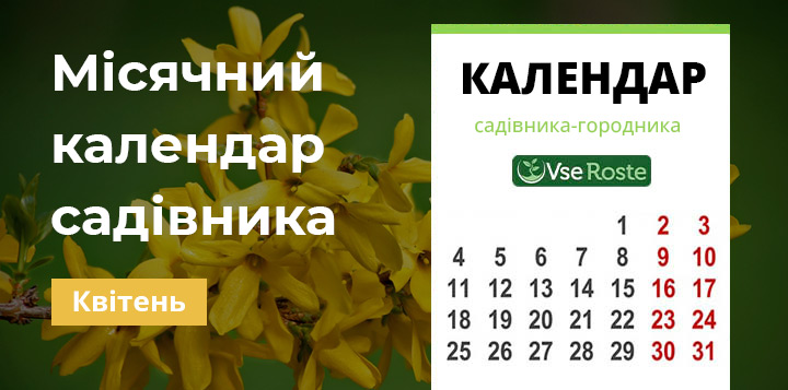 Місячний посівний календар садівника-городника на квітень 2024 року