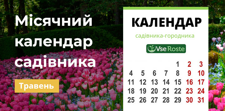 Місячний календар садівника-городника на травень 2023 року
