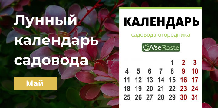 Лунный посевной календарь садовода-огородника на май 2024 года