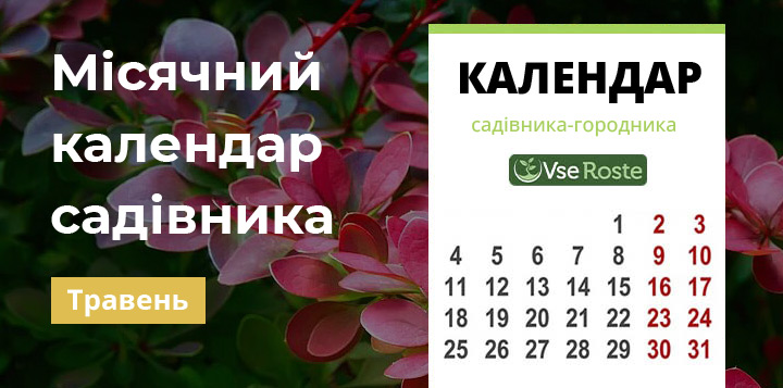 Місячний посівний календар садівника-городника на травень 2024 року