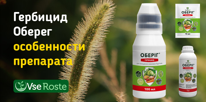 Гербицид Оберег – особенности препарата