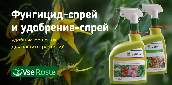 Фунгицид-спрей и удобрения-спрей - удобные решения для защиты растений. Свитч спрей, Изабион спрей