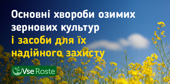 Основні хвороби озимих зернових культур і засоби для їх надійного захисту 