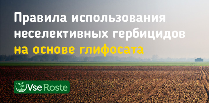 Правила использования неселективных гербицидов на основе глифосата