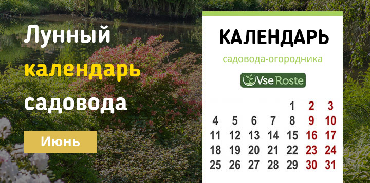 Лунный календарь садовода-огородника на июнь 2023 года