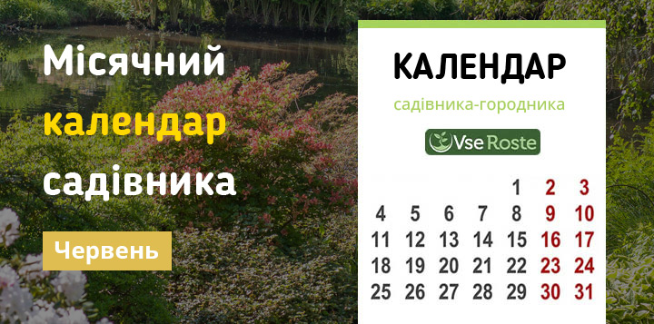 Місячний календар садівника-городника на червень 2023 року
