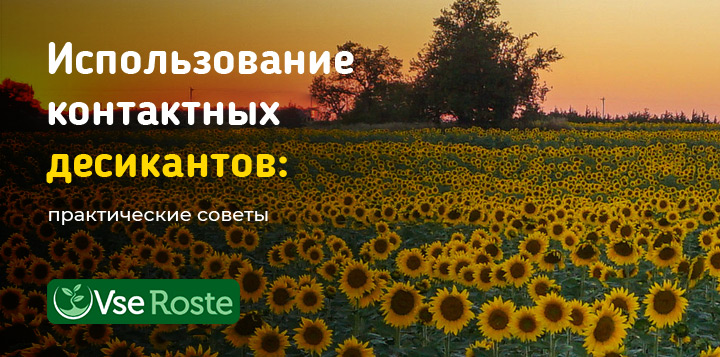 Использование контактных десикантов: практические советы