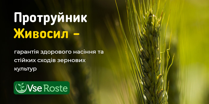 Протруйник Живосил – гарантія здорового насіння та стійких сходів зернових культур