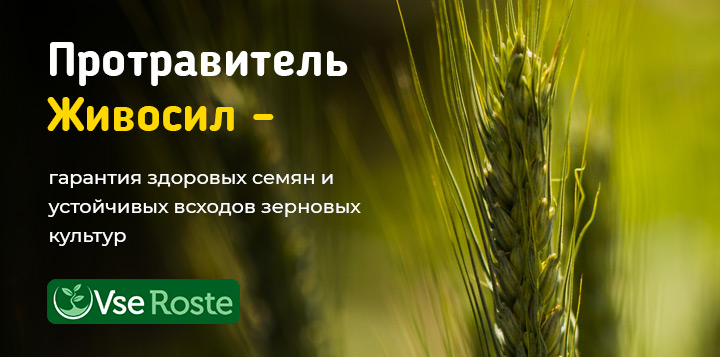 Протравитель Живосил