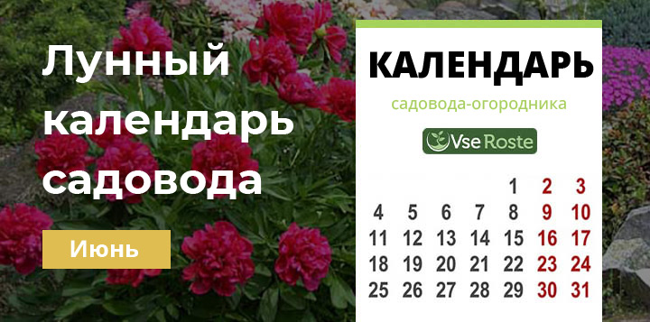 Лунный посевной календарь садовода-огородника на июнь 2024 года
