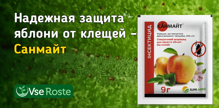 Надежная защита яблони от клещей – Санмайт