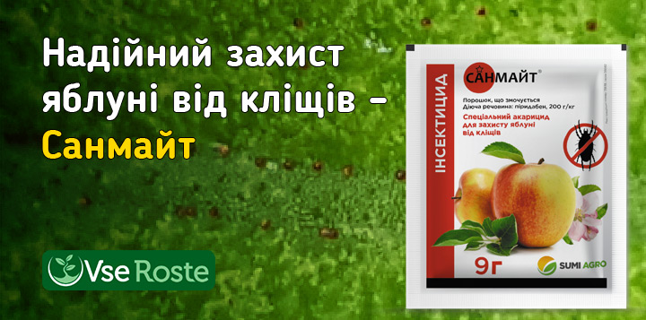 Надійний захист яблуні від кліщів – Санмайт