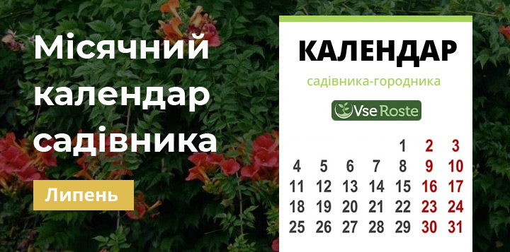 Місячний посівний календар садівника-городника на липень 2024 року