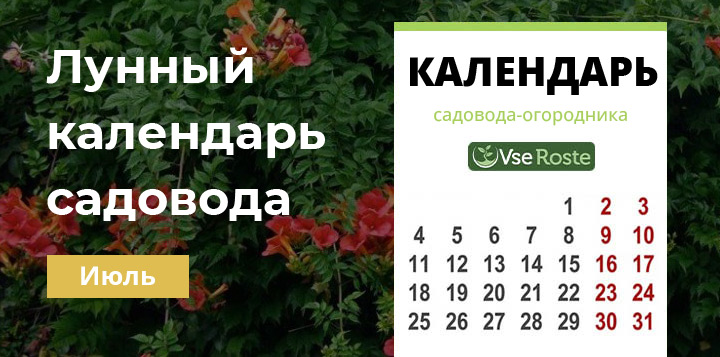 Лунный посевной календарь садовода-огородника на июль 2024 года