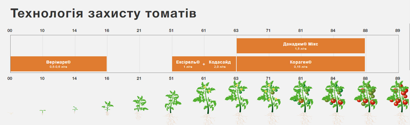 захист томатів від томатної молі