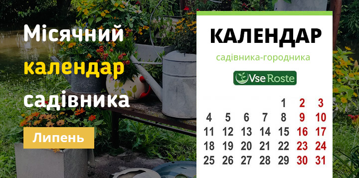 Місячний календар садівника-городника на липень 2023