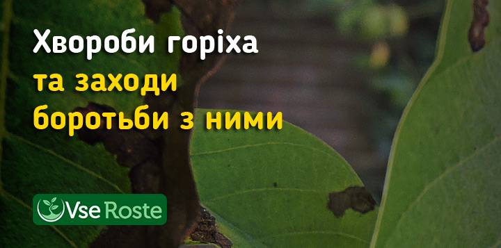 Хвороби горіха та заходи боротьби з ними