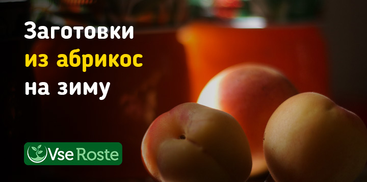 Заготовки из абрикос на зиму