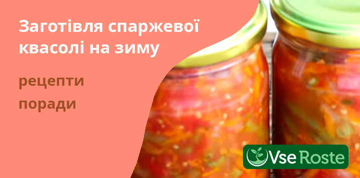 Заготівля спаржевої квасолі на зиму