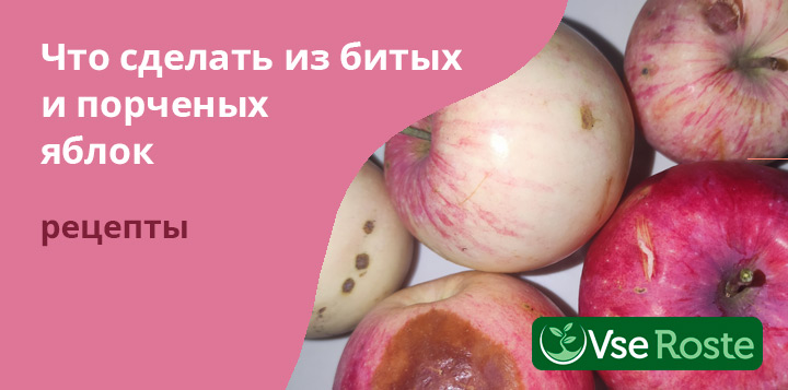 Что сделать из битых и порченых яблок