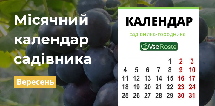 Місячний календар садівника на вересень 2023 року