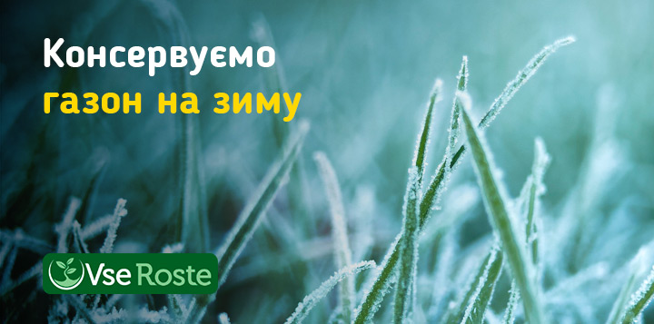 Консервуємо газон на зиму