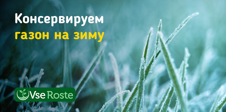 Консервируем газон на зиму