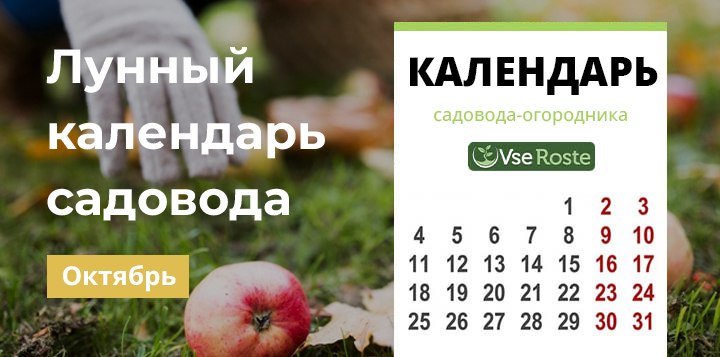 Лунный календарь садовода-огородника на октябрь 2022 года