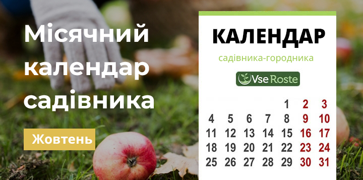 Місячний календар садівника-городника на жовтень 2022 року