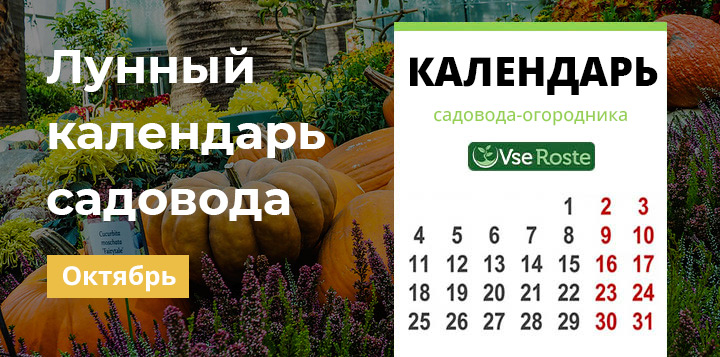 Лунный календарь садовода-огородника на октябрь 2023 года