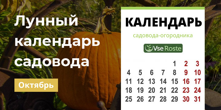 Лунный календарь садовода-огородника на октябрь 2024 года