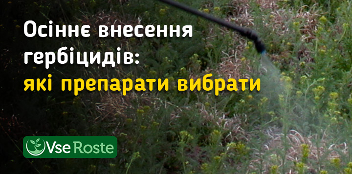 Осіннє внесення гербіцидів: які препарати вибрати