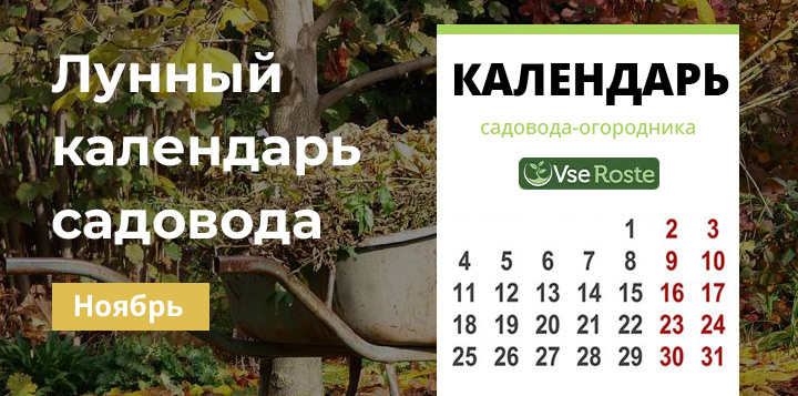 Лунный календарь садовода-огородника на ноябрь 2022 года