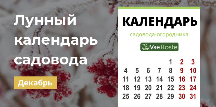 Лунный посевной календарь садовода-огородника на декабрь 2024 года